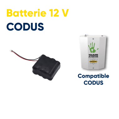 Batterie 12V pour CODUS
